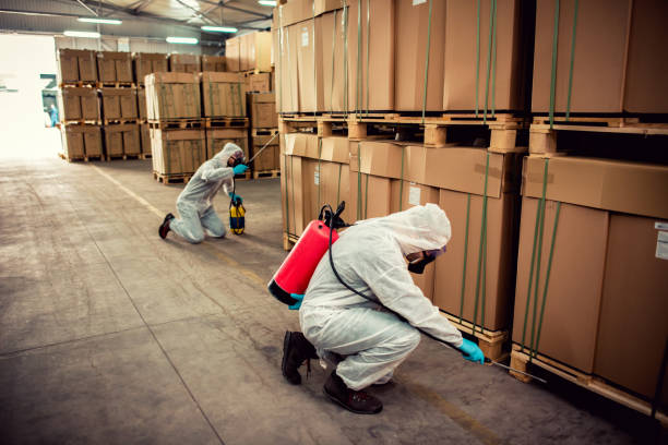 Best Affordable Pest Control Services  in Genoa, IL