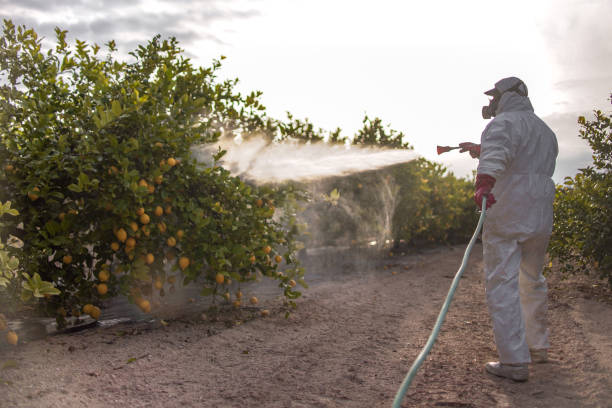 Best Bed Bug Extermination  in Genoa, IL