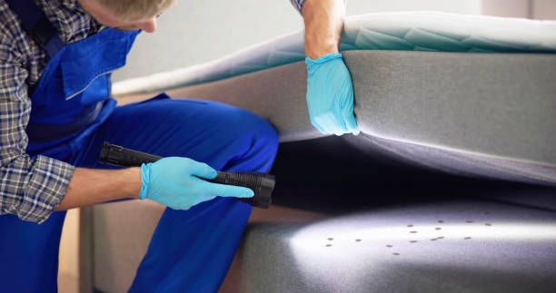 Best Best Pest Control Companies  in Genoa, IL
