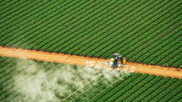 Best Ant Control Services  in Genoa, IL