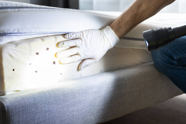 Best Pest Inspection Near Me  in Genoa, IL