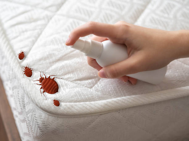 Best Pest Control Near Me in Genoa, IL