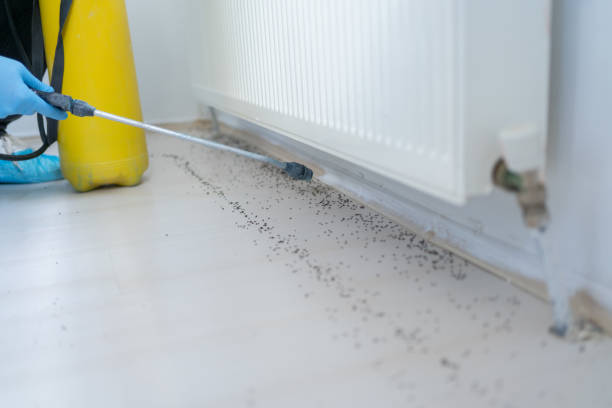 Best Residential Pest Control  in Genoa, IL