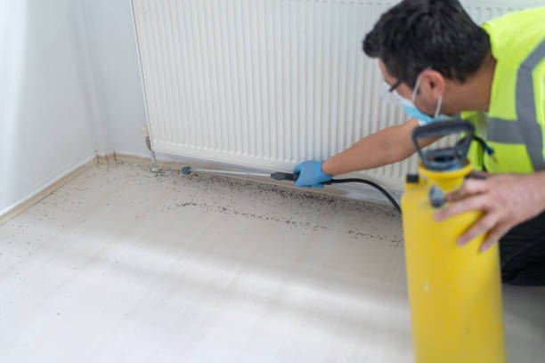 Best Emergency Pest Control  in Genoa, IL