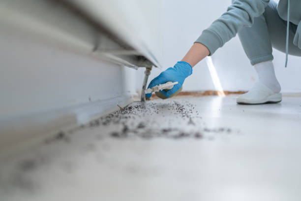 Professional Pest Control in Genoa, IL