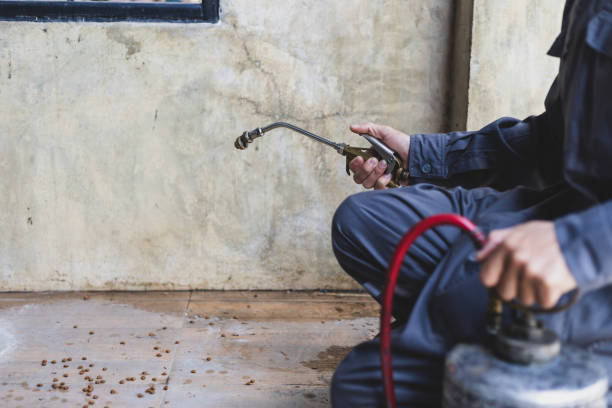 Best Best Pest Control Near Me  in Genoa, IL