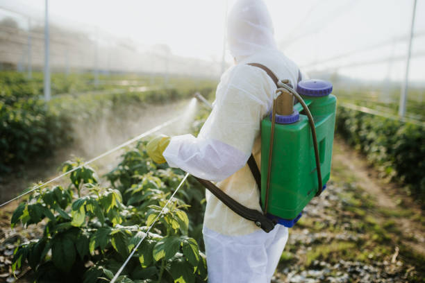 Best Exterminator Services  in Genoa, IL